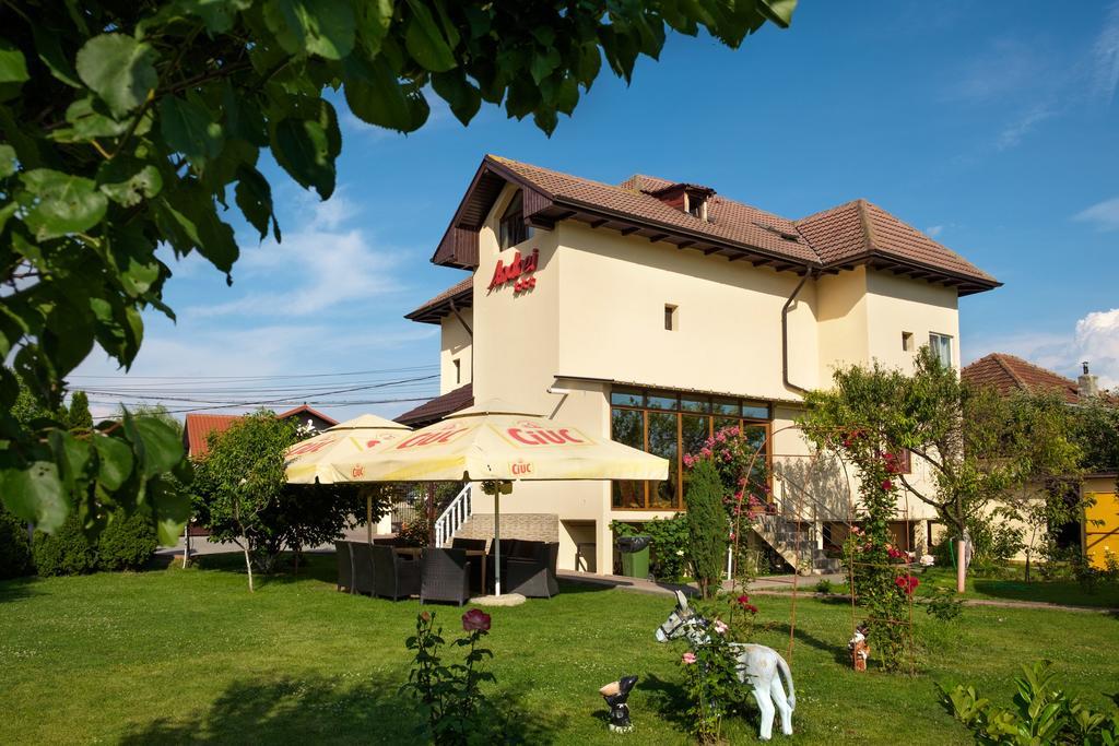 Pensiunea Andrei Rm Valcea Ramnicu Valcea Exterior photo